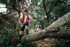 BIB: 
                            <button type="button" onclick="openModal(25549134)" class="btn btn-primary btn-sm float-right btn-popup" data-toggle="modal" data-target=".modal-high-quality">
                        <i class="fas fa-shopping-cart"></i> Add to Cart
                    </button>
                                            <button type="button" onclick="isThisMe(25549134, true)" class="btn btn-success btn-sm float-right btn-popup btn-isme hidden" data-toggle="tooltip" data-placement="bottom" title="นี่คือรูปของคุณใช่ไหม คลิกที่นี่เพื่อเอาเข้าอัลบั้ม">
                        <i class="fas fa-plus"></i> Add to album
                    </button>
                    <button type="button" onclick="isThisMe(25549134, false)" class="btn btn-warning btn-sm float-right btn-popup btn-isnotme hidden">
                        <i class="fas fa-ban"></i> Remove from album
                    </button>