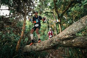 BIB: 
                            <button type="button" onclick="openModal(25525977)" class="btn btn-primary btn-sm float-right btn-popup" data-toggle="modal" data-target=".modal-high-quality">
                        <i class="fas fa-shopping-cart"></i> Add to Cart
                    </button>
                                            <button type="button" onclick="isThisMe(25525977, true)" class="btn btn-success btn-sm float-right btn-popup btn-isme hidden" data-toggle="tooltip" data-placement="bottom" title="นี่คือรูปของคุณใช่ไหม คลิกที่นี่เพื่อเอาเข้าอัลบั้ม">
                        <i class="fas fa-plus"></i> Add to album
                    </button>
                    <button type="button" onclick="isThisMe(25525977, false)" class="btn btn-warning btn-sm float-right btn-popup btn-isnotme hidden">
                        <i class="fas fa-ban"></i> Remove from album
                    </button>