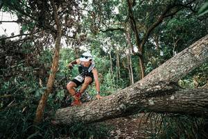 BIB: 
                            <button type="button" onclick="openModal(25528711)" class="btn btn-primary btn-sm float-right btn-popup" data-toggle="modal" data-target=".modal-high-quality">
                        <i class="fas fa-shopping-cart"></i> Add to Cart
                    </button>
                                            <button type="button" onclick="isThisMe(25528711, true)" class="btn btn-success btn-sm float-right btn-popup btn-isme hidden" data-toggle="tooltip" data-placement="bottom" title="นี่คือรูปของคุณใช่ไหม คลิกที่นี่เพื่อเอาเข้าอัลบั้ม">
                        <i class="fas fa-plus"></i> Add to album
                    </button>
                    <button type="button" onclick="isThisMe(25528711, false)" class="btn btn-warning btn-sm float-right btn-popup btn-isnotme hidden">
                        <i class="fas fa-ban"></i> Remove from album
                    </button>