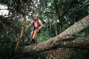 BIB: 
                            <button type="button" onclick="openModal(25526136)" class="btn btn-primary btn-sm float-right btn-popup" data-toggle="modal" data-target=".modal-high-quality">
                        <i class="fas fa-shopping-cart"></i> Add to Cart
                    </button>
                                            <button type="button" onclick="isThisMe(25526136, true)" class="btn btn-success btn-sm float-right btn-popup btn-isme hidden" data-toggle="tooltip" data-placement="bottom" title="นี่คือรูปของคุณใช่ไหม คลิกที่นี่เพื่อเอาเข้าอัลบั้ม">
                        <i class="fas fa-plus"></i> Add to album
                    </button>
                    <button type="button" onclick="isThisMe(25526136, false)" class="btn btn-warning btn-sm float-right btn-popup btn-isnotme hidden">
                        <i class="fas fa-ban"></i> Remove from album
                    </button>