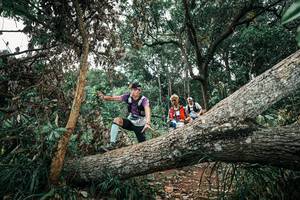 BIB: 
                            <button type="button" onclick="openModal(25541458)" class="btn btn-primary btn-sm float-right btn-popup" data-toggle="modal" data-target=".modal-high-quality">
                        <i class="fas fa-shopping-cart"></i> Add to Cart
                    </button>
                                            <button type="button" onclick="isThisMe(25541458, true)" class="btn btn-success btn-sm float-right btn-popup btn-isme hidden" data-toggle="tooltip" data-placement="bottom" title="นี่คือรูปของคุณใช่ไหม คลิกที่นี่เพื่อเอาเข้าอัลบั้ม">
                        <i class="fas fa-plus"></i> Add to album
                    </button>
                    <button type="button" onclick="isThisMe(25541458, false)" class="btn btn-warning btn-sm float-right btn-popup btn-isnotme hidden">
                        <i class="fas fa-ban"></i> Remove from album
                    </button>