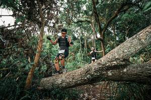 BIB: 
                            <button type="button" onclick="openModal(25528709)" class="btn btn-primary btn-sm float-right btn-popup" data-toggle="modal" data-target=".modal-high-quality">
                        <i class="fas fa-shopping-cart"></i> Add to Cart
                    </button>
                                            <button type="button" onclick="isThisMe(25528709, true)" class="btn btn-success btn-sm float-right btn-popup btn-isme hidden" data-toggle="tooltip" data-placement="bottom" title="นี่คือรูปของคุณใช่ไหม คลิกที่นี่เพื่อเอาเข้าอัลบั้ม">
                        <i class="fas fa-plus"></i> Add to album
                    </button>
                    <button type="button" onclick="isThisMe(25528709, false)" class="btn btn-warning btn-sm float-right btn-popup btn-isnotme hidden">
                        <i class="fas fa-ban"></i> Remove from album
                    </button>