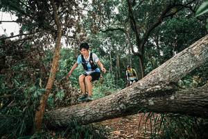 BIB: 
                            <button type="button" onclick="openModal(25546179)" class="btn btn-primary btn-sm float-right btn-popup" data-toggle="modal" data-target=".modal-high-quality">
                        <i class="fas fa-shopping-cart"></i> Add to Cart
                    </button>
                                            <button type="button" onclick="isThisMe(25546179, true)" class="btn btn-success btn-sm float-right btn-popup btn-isme hidden" data-toggle="tooltip" data-placement="bottom" title="นี่คือรูปของคุณใช่ไหม คลิกที่นี่เพื่อเอาเข้าอัลบั้ม">
                        <i class="fas fa-plus"></i> Add to album
                    </button>
                    <button type="button" onclick="isThisMe(25546179, false)" class="btn btn-warning btn-sm float-right btn-popup btn-isnotme hidden">
                        <i class="fas fa-ban"></i> Remove from album
                    </button>