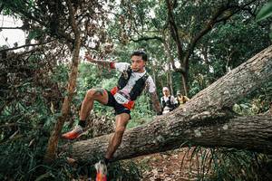 BIB: 
                            <button type="button" onclick="openModal(25529998)" class="btn btn-primary btn-sm float-right btn-popup" data-toggle="modal" data-target=".modal-high-quality">
                        <i class="fas fa-shopping-cart"></i> Add to Cart
                    </button>
                                            <button type="button" onclick="isThisMe(25529998, true)" class="btn btn-success btn-sm float-right btn-popup btn-isme hidden" data-toggle="tooltip" data-placement="bottom" title="นี่คือรูปของคุณใช่ไหม คลิกที่นี่เพื่อเอาเข้าอัลบั้ม">
                        <i class="fas fa-plus"></i> Add to album
                    </button>
                    <button type="button" onclick="isThisMe(25529998, false)" class="btn btn-warning btn-sm float-right btn-popup btn-isnotme hidden">
                        <i class="fas fa-ban"></i> Remove from album
                    </button>