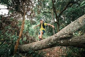 BIB: 
                            <button type="button" onclick="openModal(25544602)" class="btn btn-primary btn-sm float-right btn-popup" data-toggle="modal" data-target=".modal-high-quality">
                        <i class="fas fa-shopping-cart"></i> Add to Cart
                    </button>
                                            <button type="button" onclick="isThisMe(25544602, true)" class="btn btn-success btn-sm float-right btn-popup btn-isme hidden" data-toggle="tooltip" data-placement="bottom" title="นี่คือรูปของคุณใช่ไหม คลิกที่นี่เพื่อเอาเข้าอัลบั้ม">
                        <i class="fas fa-plus"></i> Add to album
                    </button>
                    <button type="button" onclick="isThisMe(25544602, false)" class="btn btn-warning btn-sm float-right btn-popup btn-isnotme hidden">
                        <i class="fas fa-ban"></i> Remove from album
                    </button>