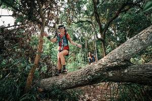 BIB: 
                            <button type="button" onclick="openModal(25533192)" class="btn btn-primary btn-sm float-right btn-popup" data-toggle="modal" data-target=".modal-high-quality">
                        <i class="fas fa-shopping-cart"></i> Add to Cart
                    </button>
                                            <button type="button" onclick="isThisMe(25533192, true)" class="btn btn-success btn-sm float-right btn-popup btn-isme hidden" data-toggle="tooltip" data-placement="bottom" title="นี่คือรูปของคุณใช่ไหม คลิกที่นี่เพื่อเอาเข้าอัลบั้ม">
                        <i class="fas fa-plus"></i> Add to album
                    </button>
                    <button type="button" onclick="isThisMe(25533192, false)" class="btn btn-warning btn-sm float-right btn-popup btn-isnotme hidden">
                        <i class="fas fa-ban"></i> Remove from album
                    </button>