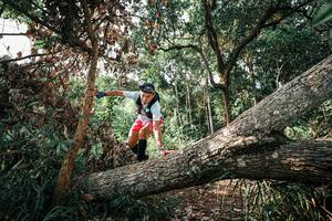 BIB: 
                            <button type="button" onclick="openModal(25534225)" class="btn btn-primary btn-sm float-right btn-popup" data-toggle="modal" data-target=".modal-high-quality">
                        <i class="fas fa-shopping-cart"></i> Add to Cart
                    </button>
                                            <button type="button" onclick="isThisMe(25534225, true)" class="btn btn-success btn-sm float-right btn-popup btn-isme hidden" data-toggle="tooltip" data-placement="bottom" title="นี่คือรูปของคุณใช่ไหม คลิกที่นี่เพื่อเอาเข้าอัลบั้ม">
                        <i class="fas fa-plus"></i> Add to album
                    </button>
                    <button type="button" onclick="isThisMe(25534225, false)" class="btn btn-warning btn-sm float-right btn-popup btn-isnotme hidden">
                        <i class="fas fa-ban"></i> Remove from album
                    </button>