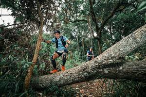 BIB: 
                            <button type="button" onclick="openModal(25540173)" class="btn btn-primary btn-sm float-right btn-popup" data-toggle="modal" data-target=".modal-high-quality">
                        <i class="fas fa-shopping-cart"></i> Add to Cart
                    </button>
                                            <button type="button" onclick="isThisMe(25540173, true)" class="btn btn-success btn-sm float-right btn-popup btn-isme hidden" data-toggle="tooltip" data-placement="bottom" title="นี่คือรูปของคุณใช่ไหม คลิกที่นี่เพื่อเอาเข้าอัลบั้ม">
                        <i class="fas fa-plus"></i> Add to album
                    </button>
                    <button type="button" onclick="isThisMe(25540173, false)" class="btn btn-warning btn-sm float-right btn-popup btn-isnotme hidden">
                        <i class="fas fa-ban"></i> Remove from album
                    </button>