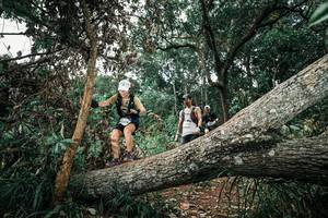 BIB: 
                            <button type="button" onclick="openModal(25541568)" class="btn btn-primary btn-sm float-right btn-popup" data-toggle="modal" data-target=".modal-high-quality">
                        <i class="fas fa-shopping-cart"></i> Add to Cart
                    </button>
                                            <button type="button" onclick="isThisMe(25541568, true)" class="btn btn-success btn-sm float-right btn-popup btn-isme hidden" data-toggle="tooltip" data-placement="bottom" title="นี่คือรูปของคุณใช่ไหม คลิกที่นี่เพื่อเอาเข้าอัลบั้ม">
                        <i class="fas fa-plus"></i> Add to album
                    </button>
                    <button type="button" onclick="isThisMe(25541568, false)" class="btn btn-warning btn-sm float-right btn-popup btn-isnotme hidden">
                        <i class="fas fa-ban"></i> Remove from album
                    </button>