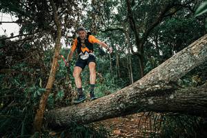 BIB: 
                            <button type="button" onclick="openModal(25550237)" class="btn btn-primary btn-sm float-right btn-popup" data-toggle="modal" data-target=".modal-high-quality">
                        <i class="fas fa-shopping-cart"></i> Add to Cart
                    </button>
                                            <button type="button" onclick="isThisMe(25550237, true)" class="btn btn-success btn-sm float-right btn-popup btn-isme hidden" data-toggle="tooltip" data-placement="bottom" title="นี่คือรูปของคุณใช่ไหม คลิกที่นี่เพื่อเอาเข้าอัลบั้ม">
                        <i class="fas fa-plus"></i> Add to album
                    </button>
                    <button type="button" onclick="isThisMe(25550237, false)" class="btn btn-warning btn-sm float-right btn-popup btn-isnotme hidden">
                        <i class="fas fa-ban"></i> Remove from album
                    </button>