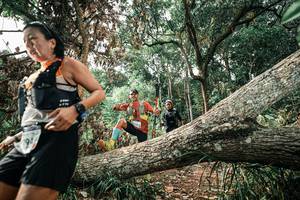 BIB: 
                            <button type="button" onclick="openModal(25540993)" class="btn btn-primary btn-sm float-right btn-popup" data-toggle="modal" data-target=".modal-high-quality">
                        <i class="fas fa-shopping-cart"></i> Add to Cart
                    </button>
                                            <button type="button" onclick="isThisMe(25540993, true)" class="btn btn-success btn-sm float-right btn-popup btn-isme hidden" data-toggle="tooltip" data-placement="bottom" title="นี่คือรูปของคุณใช่ไหม คลิกที่นี่เพื่อเอาเข้าอัลบั้ม">
                        <i class="fas fa-plus"></i> Add to album
                    </button>
                    <button type="button" onclick="isThisMe(25540993, false)" class="btn btn-warning btn-sm float-right btn-popup btn-isnotme hidden">
                        <i class="fas fa-ban"></i> Remove from album
                    </button>