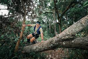 BIB: 
                            <button type="button" onclick="openModal(25528354)" class="btn btn-primary btn-sm float-right btn-popup" data-toggle="modal" data-target=".modal-high-quality">
                        <i class="fas fa-shopping-cart"></i> Add to Cart
                    </button>
                                            <button type="button" onclick="isThisMe(25528354, true)" class="btn btn-success btn-sm float-right btn-popup btn-isme hidden" data-toggle="tooltip" data-placement="bottom" title="นี่คือรูปของคุณใช่ไหม คลิกที่นี่เพื่อเอาเข้าอัลบั้ม">
                        <i class="fas fa-plus"></i> Add to album
                    </button>
                    <button type="button" onclick="isThisMe(25528354, false)" class="btn btn-warning btn-sm float-right btn-popup btn-isnotme hidden">
                        <i class="fas fa-ban"></i> Remove from album
                    </button>