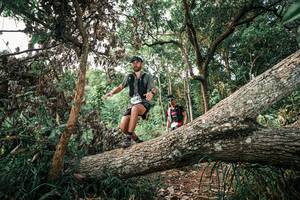 BIB: 
                            <button type="button" onclick="openModal(25529067)" class="btn btn-primary btn-sm float-right btn-popup" data-toggle="modal" data-target=".modal-high-quality">
                        <i class="fas fa-shopping-cart"></i> Add to Cart
                    </button>
                                            <button type="button" onclick="isThisMe(25529067, true)" class="btn btn-success btn-sm float-right btn-popup btn-isme hidden" data-toggle="tooltip" data-placement="bottom" title="นี่คือรูปของคุณใช่ไหม คลิกที่นี่เพื่อเอาเข้าอัลบั้ม">
                        <i class="fas fa-plus"></i> Add to album
                    </button>
                    <button type="button" onclick="isThisMe(25529067, false)" class="btn btn-warning btn-sm float-right btn-popup btn-isnotme hidden">
                        <i class="fas fa-ban"></i> Remove from album
                    </button>