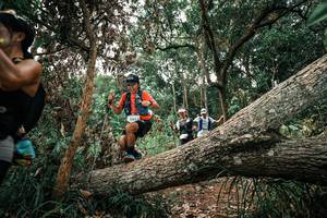 BIB: 
                            <button type="button" onclick="openModal(25530870)" class="btn btn-primary btn-sm float-right btn-popup" data-toggle="modal" data-target=".modal-high-quality">
                        <i class="fas fa-shopping-cart"></i> Add to Cart
                    </button>
                                            <button type="button" onclick="isThisMe(25530870, true)" class="btn btn-success btn-sm float-right btn-popup btn-isme hidden" data-toggle="tooltip" data-placement="bottom" title="นี่คือรูปของคุณใช่ไหม คลิกที่นี่เพื่อเอาเข้าอัลบั้ม">
                        <i class="fas fa-plus"></i> Add to album
                    </button>
                    <button type="button" onclick="isThisMe(25530870, false)" class="btn btn-warning btn-sm float-right btn-popup btn-isnotme hidden">
                        <i class="fas fa-ban"></i> Remove from album
                    </button>