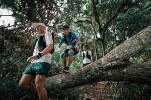 BIB: 
                            <button type="button" onclick="openModal(25534782)" class="btn btn-primary btn-sm float-right btn-popup" data-toggle="modal" data-target=".modal-high-quality">
                        <i class="fas fa-shopping-cart"></i> Add to Cart
                    </button>
                                            <button type="button" onclick="isThisMe(25534782, true)" class="btn btn-success btn-sm float-right btn-popup btn-isme hidden" data-toggle="tooltip" data-placement="bottom" title="นี่คือรูปของคุณใช่ไหม คลิกที่นี่เพื่อเอาเข้าอัลบั้ม">
                        <i class="fas fa-plus"></i> Add to album
                    </button>
                    <button type="button" onclick="isThisMe(25534782, false)" class="btn btn-warning btn-sm float-right btn-popup btn-isnotme hidden">
                        <i class="fas fa-ban"></i> Remove from album
                    </button>