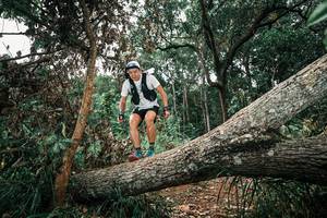 BIB: 
                            <button type="button" onclick="openModal(25546289)" class="btn btn-primary btn-sm float-right btn-popup" data-toggle="modal" data-target=".modal-high-quality">
                        <i class="fas fa-shopping-cart"></i> Add to Cart
                    </button>
                                            <button type="button" onclick="isThisMe(25546289, true)" class="btn btn-success btn-sm float-right btn-popup btn-isme hidden" data-toggle="tooltip" data-placement="bottom" title="นี่คือรูปของคุณใช่ไหม คลิกที่นี่เพื่อเอาเข้าอัลบั้ม">
                        <i class="fas fa-plus"></i> Add to album
                    </button>
                    <button type="button" onclick="isThisMe(25546289, false)" class="btn btn-warning btn-sm float-right btn-popup btn-isnotme hidden">
                        <i class="fas fa-ban"></i> Remove from album
                    </button>