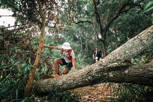 BIB: 
                            <button type="button" onclick="openModal(25547922)" class="btn btn-primary btn-sm float-right btn-popup" data-toggle="modal" data-target=".modal-high-quality">
                        <i class="fas fa-shopping-cart"></i> Add to Cart
                    </button>
                                            <button type="button" onclick="isThisMe(25547922, true)" class="btn btn-success btn-sm float-right btn-popup btn-isme hidden" data-toggle="tooltip" data-placement="bottom" title="นี่คือรูปของคุณใช่ไหม คลิกที่นี่เพื่อเอาเข้าอัลบั้ม">
                        <i class="fas fa-plus"></i> Add to album
                    </button>
                    <button type="button" onclick="isThisMe(25547922, false)" class="btn btn-warning btn-sm float-right btn-popup btn-isnotme hidden">
                        <i class="fas fa-ban"></i> Remove from album
                    </button>