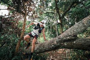 BIB: 
                            <button type="button" onclick="openModal(25534012)" class="btn btn-primary btn-sm float-right btn-popup" data-toggle="modal" data-target=".modal-high-quality">
                        <i class="fas fa-shopping-cart"></i> Add to Cart
                    </button>
                                            <button type="button" onclick="isThisMe(25534012, true)" class="btn btn-success btn-sm float-right btn-popup btn-isme hidden" data-toggle="tooltip" data-placement="bottom" title="นี่คือรูปของคุณใช่ไหม คลิกที่นี่เพื่อเอาเข้าอัลบั้ม">
                        <i class="fas fa-plus"></i> Add to album
                    </button>
                    <button type="button" onclick="isThisMe(25534012, false)" class="btn btn-warning btn-sm float-right btn-popup btn-isnotme hidden">
                        <i class="fas fa-ban"></i> Remove from album
                    </button>