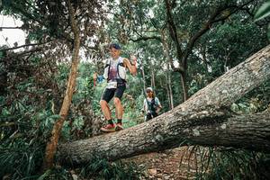 BIB: 
                            <button type="button" onclick="openModal(25543117)" class="btn btn-primary btn-sm float-right btn-popup" data-toggle="modal" data-target=".modal-high-quality">
                        <i class="fas fa-shopping-cart"></i> Add to Cart
                    </button>
                                            <button type="button" onclick="isThisMe(25543117, true)" class="btn btn-success btn-sm float-right btn-popup btn-isme hidden" data-toggle="tooltip" data-placement="bottom" title="นี่คือรูปของคุณใช่ไหม คลิกที่นี่เพื่อเอาเข้าอัลบั้ม">
                        <i class="fas fa-plus"></i> Add to album
                    </button>
                    <button type="button" onclick="isThisMe(25543117, false)" class="btn btn-warning btn-sm float-right btn-popup btn-isnotme hidden">
                        <i class="fas fa-ban"></i> Remove from album
                    </button>