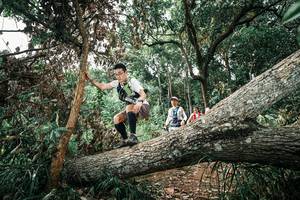 BIB: 
                            <button type="button" onclick="openModal(25543479)" class="btn btn-primary btn-sm float-right btn-popup" data-toggle="modal" data-target=".modal-high-quality">
                        <i class="fas fa-shopping-cart"></i> Add to Cart
                    </button>
                                            <button type="button" onclick="isThisMe(25543479, true)" class="btn btn-success btn-sm float-right btn-popup btn-isme hidden" data-toggle="tooltip" data-placement="bottom" title="นี่คือรูปของคุณใช่ไหม คลิกที่นี่เพื่อเอาเข้าอัลบั้ม">
                        <i class="fas fa-plus"></i> Add to album
                    </button>
                    <button type="button" onclick="isThisMe(25543479, false)" class="btn btn-warning btn-sm float-right btn-popup btn-isnotme hidden">
                        <i class="fas fa-ban"></i> Remove from album
                    </button>