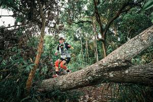 BIB: 
                            <button type="button" onclick="openModal(25526523)" class="btn btn-primary btn-sm float-right btn-popup" data-toggle="modal" data-target=".modal-high-quality">
                        <i class="fas fa-shopping-cart"></i> Add to Cart
                    </button>
                                            <button type="button" onclick="isThisMe(25526523, true)" class="btn btn-success btn-sm float-right btn-popup btn-isme hidden" data-toggle="tooltip" data-placement="bottom" title="นี่คือรูปของคุณใช่ไหม คลิกที่นี่เพื่อเอาเข้าอัลบั้ม">
                        <i class="fas fa-plus"></i> Add to album
                    </button>
                    <button type="button" onclick="isThisMe(25526523, false)" class="btn btn-warning btn-sm float-right btn-popup btn-isnotme hidden">
                        <i class="fas fa-ban"></i> Remove from album
                    </button>