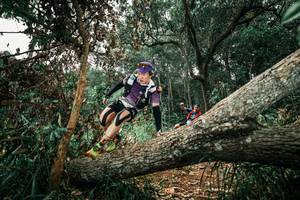 BIB: 
                            <button type="button" onclick="openModal(25550035)" class="btn btn-primary btn-sm float-right btn-popup" data-toggle="modal" data-target=".modal-high-quality">
                        <i class="fas fa-shopping-cart"></i> Add to Cart
                    </button>
                                            <button type="button" onclick="isThisMe(25550035, true)" class="btn btn-success btn-sm float-right btn-popup btn-isme hidden" data-toggle="tooltip" data-placement="bottom" title="นี่คือรูปของคุณใช่ไหม คลิกที่นี่เพื่อเอาเข้าอัลบั้ม">
                        <i class="fas fa-plus"></i> Add to album
                    </button>
                    <button type="button" onclick="isThisMe(25550035, false)" class="btn btn-warning btn-sm float-right btn-popup btn-isnotme hidden">
                        <i class="fas fa-ban"></i> Remove from album
                    </button>