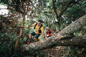 BIB: 
                            <button type="button" onclick="openModal(25535127)" class="btn btn-primary btn-sm float-right btn-popup" data-toggle="modal" data-target=".modal-high-quality">
                        <i class="fas fa-shopping-cart"></i> Add to Cart
                    </button>
                                            <button type="button" onclick="isThisMe(25535127, true)" class="btn btn-success btn-sm float-right btn-popup btn-isme hidden" data-toggle="tooltip" data-placement="bottom" title="นี่คือรูปของคุณใช่ไหม คลิกที่นี่เพื่อเอาเข้าอัลบั้ม">
                        <i class="fas fa-plus"></i> Add to album
                    </button>
                    <button type="button" onclick="isThisMe(25535127, false)" class="btn btn-warning btn-sm float-right btn-popup btn-isnotme hidden">
                        <i class="fas fa-ban"></i> Remove from album
                    </button>