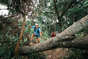 BIB: 
                            <button type="button" onclick="openModal(25546400)" class="btn btn-primary btn-sm float-right btn-popup" data-toggle="modal" data-target=".modal-high-quality">
                        <i class="fas fa-shopping-cart"></i> Add to Cart
                    </button>
                                            <button type="button" onclick="isThisMe(25546400, true)" class="btn btn-success btn-sm float-right btn-popup btn-isme hidden" data-toggle="tooltip" data-placement="bottom" title="นี่คือรูปของคุณใช่ไหม คลิกที่นี่เพื่อเอาเข้าอัลบั้ม">
                        <i class="fas fa-plus"></i> Add to album
                    </button>
                    <button type="button" onclick="isThisMe(25546400, false)" class="btn btn-warning btn-sm float-right btn-popup btn-isnotme hidden">
                        <i class="fas fa-ban"></i> Remove from album
                    </button>