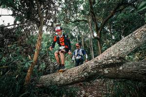 BIB: 
                            <button type="button" onclick="openModal(25527335)" class="btn btn-primary btn-sm float-right btn-popup" data-toggle="modal" data-target=".modal-high-quality">
                        <i class="fas fa-shopping-cart"></i> Add to Cart
                    </button>
                                            <button type="button" onclick="isThisMe(25527335, true)" class="btn btn-success btn-sm float-right btn-popup btn-isme hidden" data-toggle="tooltip" data-placement="bottom" title="นี่คือรูปของคุณใช่ไหม คลิกที่นี่เพื่อเอาเข้าอัลบั้ม">
                        <i class="fas fa-plus"></i> Add to album
                    </button>
                    <button type="button" onclick="isThisMe(25527335, false)" class="btn btn-warning btn-sm float-right btn-popup btn-isnotme hidden">
                        <i class="fas fa-ban"></i> Remove from album
                    </button>