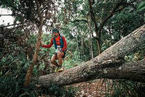 BIB: 
                            <button type="button" onclick="openModal(25530122)" class="btn btn-primary btn-sm float-right btn-popup" data-toggle="modal" data-target=".modal-high-quality">
                        <i class="fas fa-shopping-cart"></i> Add to Cart
                    </button>
                                            <button type="button" onclick="isThisMe(25530122, true)" class="btn btn-success btn-sm float-right btn-popup btn-isme hidden" data-toggle="tooltip" data-placement="bottom" title="นี่คือรูปของคุณใช่ไหม คลิกที่นี่เพื่อเอาเข้าอัลบั้ม">
                        <i class="fas fa-plus"></i> Add to album
                    </button>
                    <button type="button" onclick="isThisMe(25530122, false)" class="btn btn-warning btn-sm float-right btn-popup btn-isnotme hidden">
                        <i class="fas fa-ban"></i> Remove from album
                    </button>