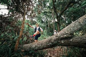 BIB: 
                            <button type="button" onclick="openModal(25531238)" class="btn btn-primary btn-sm float-right btn-popup" data-toggle="modal" data-target=".modal-high-quality">
                        <i class="fas fa-shopping-cart"></i> Add to Cart
                    </button>
                                            <button type="button" onclick="isThisMe(25531238, true)" class="btn btn-success btn-sm float-right btn-popup btn-isme hidden" data-toggle="tooltip" data-placement="bottom" title="นี่คือรูปของคุณใช่ไหม คลิกที่นี่เพื่อเอาเข้าอัลบั้ม">
                        <i class="fas fa-plus"></i> Add to album
                    </button>
                    <button type="button" onclick="isThisMe(25531238, false)" class="btn btn-warning btn-sm float-right btn-popup btn-isnotme hidden">
                        <i class="fas fa-ban"></i> Remove from album
                    </button>