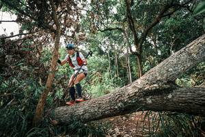 BIB: 
                            <button type="button" onclick="openModal(25533650)" class="btn btn-primary btn-sm float-right btn-popup" data-toggle="modal" data-target=".modal-high-quality">
                        <i class="fas fa-shopping-cart"></i> Add to Cart
                    </button>
                                            <button type="button" onclick="isThisMe(25533650, true)" class="btn btn-success btn-sm float-right btn-popup btn-isme hidden" data-toggle="tooltip" data-placement="bottom" title="นี่คือรูปของคุณใช่ไหม คลิกที่นี่เพื่อเอาเข้าอัลบั้ม">
                        <i class="fas fa-plus"></i> Add to album
                    </button>
                    <button type="button" onclick="isThisMe(25533650, false)" class="btn btn-warning btn-sm float-right btn-popup btn-isnotme hidden">
                        <i class="fas fa-ban"></i> Remove from album
                    </button>