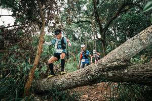 BIB: 
                            <button type="button" onclick="openModal(25547698)" class="btn btn-primary btn-sm float-right btn-popup" data-toggle="modal" data-target=".modal-high-quality">
                        <i class="fas fa-shopping-cart"></i> Add to Cart
                    </button>
                                            <button type="button" onclick="isThisMe(25547698, true)" class="btn btn-success btn-sm float-right btn-popup btn-isme hidden" data-toggle="tooltip" data-placement="bottom" title="นี่คือรูปของคุณใช่ไหม คลิกที่นี่เพื่อเอาเข้าอัลบั้ม">
                        <i class="fas fa-plus"></i> Add to album
                    </button>
                    <button type="button" onclick="isThisMe(25547698, false)" class="btn btn-warning btn-sm float-right btn-popup btn-isnotme hidden">
                        <i class="fas fa-ban"></i> Remove from album
                    </button>