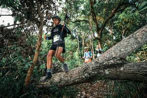 BIB: 
                            <button type="button" onclick="openModal(25526841)" class="btn btn-primary btn-sm float-right btn-popup" data-toggle="modal" data-target=".modal-high-quality">
                        <i class="fas fa-shopping-cart"></i> Add to Cart
                    </button>
                                            <button type="button" onclick="isThisMe(25526841, true)" class="btn btn-success btn-sm float-right btn-popup btn-isme hidden" data-toggle="tooltip" data-placement="bottom" title="นี่คือรูปของคุณใช่ไหม คลิกที่นี่เพื่อเอาเข้าอัลบั้ม">
                        <i class="fas fa-plus"></i> Add to album
                    </button>
                    <button type="button" onclick="isThisMe(25526841, false)" class="btn btn-warning btn-sm float-right btn-popup btn-isnotme hidden">
                        <i class="fas fa-ban"></i> Remove from album
                    </button>