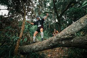 BIB: 
                            <button type="button" onclick="openModal(25550208)" class="btn btn-primary btn-sm float-right btn-popup" data-toggle="modal" data-target=".modal-high-quality">
                        <i class="fas fa-shopping-cart"></i> Add to Cart
                    </button>
                                            <button type="button" onclick="isThisMe(25550208, true)" class="btn btn-success btn-sm float-right btn-popup btn-isme hidden" data-toggle="tooltip" data-placement="bottom" title="นี่คือรูปของคุณใช่ไหม คลิกที่นี่เพื่อเอาเข้าอัลบั้ม">
                        <i class="fas fa-plus"></i> Add to album
                    </button>
                    <button type="button" onclick="isThisMe(25550208, false)" class="btn btn-warning btn-sm float-right btn-popup btn-isnotme hidden">
                        <i class="fas fa-ban"></i> Remove from album
                    </button>