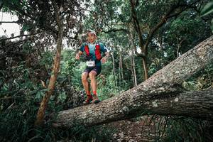 BIB: 
                            <button type="button" onclick="openModal(25527946)" class="btn btn-primary btn-sm float-right btn-popup" data-toggle="modal" data-target=".modal-high-quality">
                        <i class="fas fa-shopping-cart"></i> Add to Cart
                    </button>
                                            <button type="button" onclick="isThisMe(25527946, true)" class="btn btn-success btn-sm float-right btn-popup btn-isme hidden" data-toggle="tooltip" data-placement="bottom" title="นี่คือรูปของคุณใช่ไหม คลิกที่นี่เพื่อเอาเข้าอัลบั้ม">
                        <i class="fas fa-plus"></i> Add to album
                    </button>
                    <button type="button" onclick="isThisMe(25527946, false)" class="btn btn-warning btn-sm float-right btn-popup btn-isnotme hidden">
                        <i class="fas fa-ban"></i> Remove from album
                    </button>