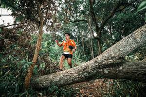 BIB: 
                            <button type="button" onclick="openModal(25539775)" class="btn btn-primary btn-sm float-right btn-popup" data-toggle="modal" data-target=".modal-high-quality">
                        <i class="fas fa-shopping-cart"></i> Add to Cart
                    </button>
                                            <button type="button" onclick="isThisMe(25539775, true)" class="btn btn-success btn-sm float-right btn-popup btn-isme hidden" data-toggle="tooltip" data-placement="bottom" title="นี่คือรูปของคุณใช่ไหม คลิกที่นี่เพื่อเอาเข้าอัลบั้ม">
                        <i class="fas fa-plus"></i> Add to album
                    </button>
                    <button type="button" onclick="isThisMe(25539775, false)" class="btn btn-warning btn-sm float-right btn-popup btn-isnotme hidden">
                        <i class="fas fa-ban"></i> Remove from album
                    </button>