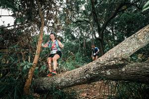 BIB: 
                            <button type="button" onclick="openModal(25552662)" class="btn btn-primary btn-sm float-right btn-popup" data-toggle="modal" data-target=".modal-high-quality">
                        <i class="fas fa-shopping-cart"></i> Add to Cart
                    </button>
                                            <button type="button" onclick="isThisMe(25552662, true)" class="btn btn-success btn-sm float-right btn-popup btn-isme hidden" data-toggle="tooltip" data-placement="bottom" title="นี่คือรูปของคุณใช่ไหม คลิกที่นี่เพื่อเอาเข้าอัลบั้ม">
                        <i class="fas fa-plus"></i> Add to album
                    </button>
                    <button type="button" onclick="isThisMe(25552662, false)" class="btn btn-warning btn-sm float-right btn-popup btn-isnotme hidden">
                        <i class="fas fa-ban"></i> Remove from album
                    </button>