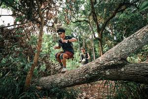 BIB: 
                            <button type="button" onclick="openModal(25531997)" class="btn btn-primary btn-sm float-right btn-popup" data-toggle="modal" data-target=".modal-high-quality">
                        <i class="fas fa-shopping-cart"></i> Add to Cart
                    </button>
                                            <button type="button" onclick="isThisMe(25531997, true)" class="btn btn-success btn-sm float-right btn-popup btn-isme hidden" data-toggle="tooltip" data-placement="bottom" title="นี่คือรูปของคุณใช่ไหม คลิกที่นี่เพื่อเอาเข้าอัลบั้ม">
                        <i class="fas fa-plus"></i> Add to album
                    </button>
                    <button type="button" onclick="isThisMe(25531997, false)" class="btn btn-warning btn-sm float-right btn-popup btn-isnotme hidden">
                        <i class="fas fa-ban"></i> Remove from album
                    </button>