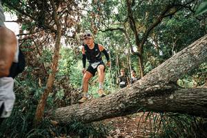 BIB: 
                            <button type="button" onclick="openModal(25531995)" class="btn btn-primary btn-sm float-right btn-popup" data-toggle="modal" data-target=".modal-high-quality">
                        <i class="fas fa-shopping-cart"></i> Add to Cart
                    </button>
                                            <button type="button" onclick="isThisMe(25531995, true)" class="btn btn-success btn-sm float-right btn-popup btn-isme hidden" data-toggle="tooltip" data-placement="bottom" title="นี่คือรูปของคุณใช่ไหม คลิกที่นี่เพื่อเอาเข้าอัลบั้ม">
                        <i class="fas fa-plus"></i> Add to album
                    </button>
                    <button type="button" onclick="isThisMe(25531995, false)" class="btn btn-warning btn-sm float-right btn-popup btn-isnotme hidden">
                        <i class="fas fa-ban"></i> Remove from album
                    </button>