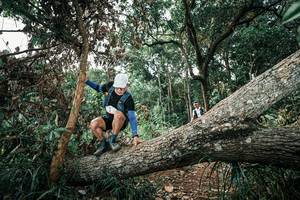 BIB: 
                            <button type="button" onclick="openModal(25538199)" class="btn btn-primary btn-sm float-right btn-popup" data-toggle="modal" data-target=".modal-high-quality">
                        <i class="fas fa-shopping-cart"></i> Add to Cart
                    </button>
                                            <button type="button" onclick="isThisMe(25538199, true)" class="btn btn-success btn-sm float-right btn-popup btn-isme hidden" data-toggle="tooltip" data-placement="bottom" title="นี่คือรูปของคุณใช่ไหม คลิกที่นี่เพื่อเอาเข้าอัลบั้ม">
                        <i class="fas fa-plus"></i> Add to album
                    </button>
                    <button type="button" onclick="isThisMe(25538199, false)" class="btn btn-warning btn-sm float-right btn-popup btn-isnotme hidden">
                        <i class="fas fa-ban"></i> Remove from album
                    </button>