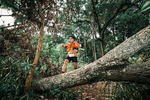 BIB: 
                            <button type="button" onclick="openModal(25539743)" class="btn btn-primary btn-sm float-right btn-popup" data-toggle="modal" data-target=".modal-high-quality">
                        <i class="fas fa-shopping-cart"></i> Add to Cart
                    </button>
                                            <button type="button" onclick="isThisMe(25539743, true)" class="btn btn-success btn-sm float-right btn-popup btn-isme hidden" data-toggle="tooltip" data-placement="bottom" title="นี่คือรูปของคุณใช่ไหม คลิกที่นี่เพื่อเอาเข้าอัลบั้ม">
                        <i class="fas fa-plus"></i> Add to album
                    </button>
                    <button type="button" onclick="isThisMe(25539743, false)" class="btn btn-warning btn-sm float-right btn-popup btn-isnotme hidden">
                        <i class="fas fa-ban"></i> Remove from album
                    </button>