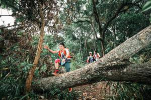 BIB: 
                            <button type="button" onclick="openModal(25540775)" class="btn btn-primary btn-sm float-right btn-popup" data-toggle="modal" data-target=".modal-high-quality">
                        <i class="fas fa-shopping-cart"></i> Add to Cart
                    </button>
                                            <button type="button" onclick="isThisMe(25540775, true)" class="btn btn-success btn-sm float-right btn-popup btn-isme hidden" data-toggle="tooltip" data-placement="bottom" title="นี่คือรูปของคุณใช่ไหม คลิกที่นี่เพื่อเอาเข้าอัลบั้ม">
                        <i class="fas fa-plus"></i> Add to album
                    </button>
                    <button type="button" onclick="isThisMe(25540775, false)" class="btn btn-warning btn-sm float-right btn-popup btn-isnotme hidden">
                        <i class="fas fa-ban"></i> Remove from album
                    </button>