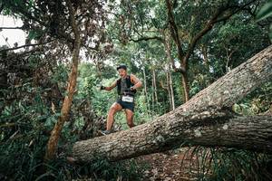 BIB: 
                            <button type="button" onclick="openModal(25528164)" class="btn btn-primary btn-sm float-right btn-popup" data-toggle="modal" data-target=".modal-high-quality">
                        <i class="fas fa-shopping-cart"></i> Add to Cart
                    </button>
                                            <button type="button" onclick="isThisMe(25528164, true)" class="btn btn-success btn-sm float-right btn-popup btn-isme hidden" data-toggle="tooltip" data-placement="bottom" title="นี่คือรูปของคุณใช่ไหม คลิกที่นี่เพื่อเอาเข้าอัลบั้ม">
                        <i class="fas fa-plus"></i> Add to album
                    </button>
                    <button type="button" onclick="isThisMe(25528164, false)" class="btn btn-warning btn-sm float-right btn-popup btn-isnotme hidden">
                        <i class="fas fa-ban"></i> Remove from album
                    </button>