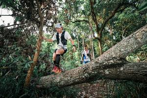 BIB: 
                            <button type="button" onclick="openModal(25527822)" class="btn btn-primary btn-sm float-right btn-popup" data-toggle="modal" data-target=".modal-high-quality">
                        <i class="fas fa-shopping-cart"></i> Add to Cart
                    </button>
                                            <button type="button" onclick="isThisMe(25527822, true)" class="btn btn-success btn-sm float-right btn-popup btn-isme hidden" data-toggle="tooltip" data-placement="bottom" title="นี่คือรูปของคุณใช่ไหม คลิกที่นี่เพื่อเอาเข้าอัลบั้ม">
                        <i class="fas fa-plus"></i> Add to album
                    </button>
                    <button type="button" onclick="isThisMe(25527822, false)" class="btn btn-warning btn-sm float-right btn-popup btn-isnotme hidden">
                        <i class="fas fa-ban"></i> Remove from album
                    </button>