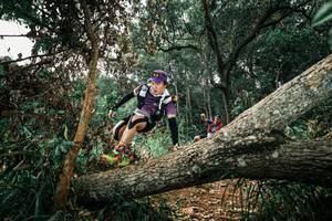 BIB: 
                            <button type="button" onclick="openModal(25550043)" class="btn btn-primary btn-sm float-right btn-popup" data-toggle="modal" data-target=".modal-high-quality">
                        <i class="fas fa-shopping-cart"></i> Add to Cart
                    </button>
                                            <button type="button" onclick="isThisMe(25550043, true)" class="btn btn-success btn-sm float-right btn-popup btn-isme hidden" data-toggle="tooltip" data-placement="bottom" title="นี่คือรูปของคุณใช่ไหม คลิกที่นี่เพื่อเอาเข้าอัลบั้ม">
                        <i class="fas fa-plus"></i> Add to album
                    </button>
                    <button type="button" onclick="isThisMe(25550043, false)" class="btn btn-warning btn-sm float-right btn-popup btn-isnotme hidden">
                        <i class="fas fa-ban"></i> Remove from album
                    </button>