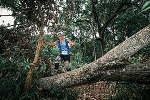 BIB: 
                            <button type="button" onclick="openModal(25536017)" class="btn btn-primary btn-sm float-right btn-popup" data-toggle="modal" data-target=".modal-high-quality">
                        <i class="fas fa-shopping-cart"></i> Add to Cart
                    </button>
                                            <button type="button" onclick="isThisMe(25536017, true)" class="btn btn-success btn-sm float-right btn-popup btn-isme hidden" data-toggle="tooltip" data-placement="bottom" title="นี่คือรูปของคุณใช่ไหม คลิกที่นี่เพื่อเอาเข้าอัลบั้ม">
                        <i class="fas fa-plus"></i> Add to album
                    </button>
                    <button type="button" onclick="isThisMe(25536017, false)" class="btn btn-warning btn-sm float-right btn-popup btn-isnotme hidden">
                        <i class="fas fa-ban"></i> Remove from album
                    </button>