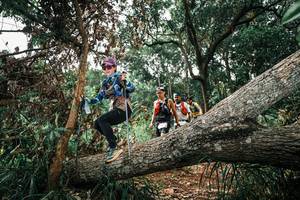 BIB: 
                            <button type="button" onclick="openModal(25548171)" class="btn btn-primary btn-sm float-right btn-popup" data-toggle="modal" data-target=".modal-high-quality">
                        <i class="fas fa-shopping-cart"></i> Add to Cart
                    </button>
                                            <button type="button" onclick="isThisMe(25548171, true)" class="btn btn-success btn-sm float-right btn-popup btn-isme hidden" data-toggle="tooltip" data-placement="bottom" title="นี่คือรูปของคุณใช่ไหม คลิกที่นี่เพื่อเอาเข้าอัลบั้ม">
                        <i class="fas fa-plus"></i> Add to album
                    </button>
                    <button type="button" onclick="isThisMe(25548171, false)" class="btn btn-warning btn-sm float-right btn-popup btn-isnotme hidden">
                        <i class="fas fa-ban"></i> Remove from album
                    </button>