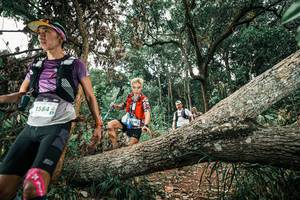 BIB: 
                            <button type="button" onclick="openModal(25541456)" class="btn btn-primary btn-sm float-right btn-popup" data-toggle="modal" data-target=".modal-high-quality">
                        <i class="fas fa-shopping-cart"></i> Add to Cart
                    </button>
                                            <button type="button" onclick="isThisMe(25541456, true)" class="btn btn-success btn-sm float-right btn-popup btn-isme hidden" data-toggle="tooltip" data-placement="bottom" title="นี่คือรูปของคุณใช่ไหม คลิกที่นี่เพื่อเอาเข้าอัลบั้ม">
                        <i class="fas fa-plus"></i> Add to album
                    </button>
                    <button type="button" onclick="isThisMe(25541456, false)" class="btn btn-warning btn-sm float-right btn-popup btn-isnotme hidden">
                        <i class="fas fa-ban"></i> Remove from album
                    </button>