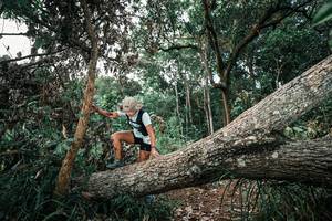 BIB: 
                            <button type="button" onclick="openModal(25528444)" class="btn btn-primary btn-sm float-right btn-popup" data-toggle="modal" data-target=".modal-high-quality">
                        <i class="fas fa-shopping-cart"></i> Add to Cart
                    </button>
                                            <button type="button" onclick="isThisMe(25528444, true)" class="btn btn-success btn-sm float-right btn-popup btn-isme hidden" data-toggle="tooltip" data-placement="bottom" title="นี่คือรูปของคุณใช่ไหม คลิกที่นี่เพื่อเอาเข้าอัลบั้ม">
                        <i class="fas fa-plus"></i> Add to album
                    </button>
                    <button type="button" onclick="isThisMe(25528444, false)" class="btn btn-warning btn-sm float-right btn-popup btn-isnotme hidden">
                        <i class="fas fa-ban"></i> Remove from album
                    </button>